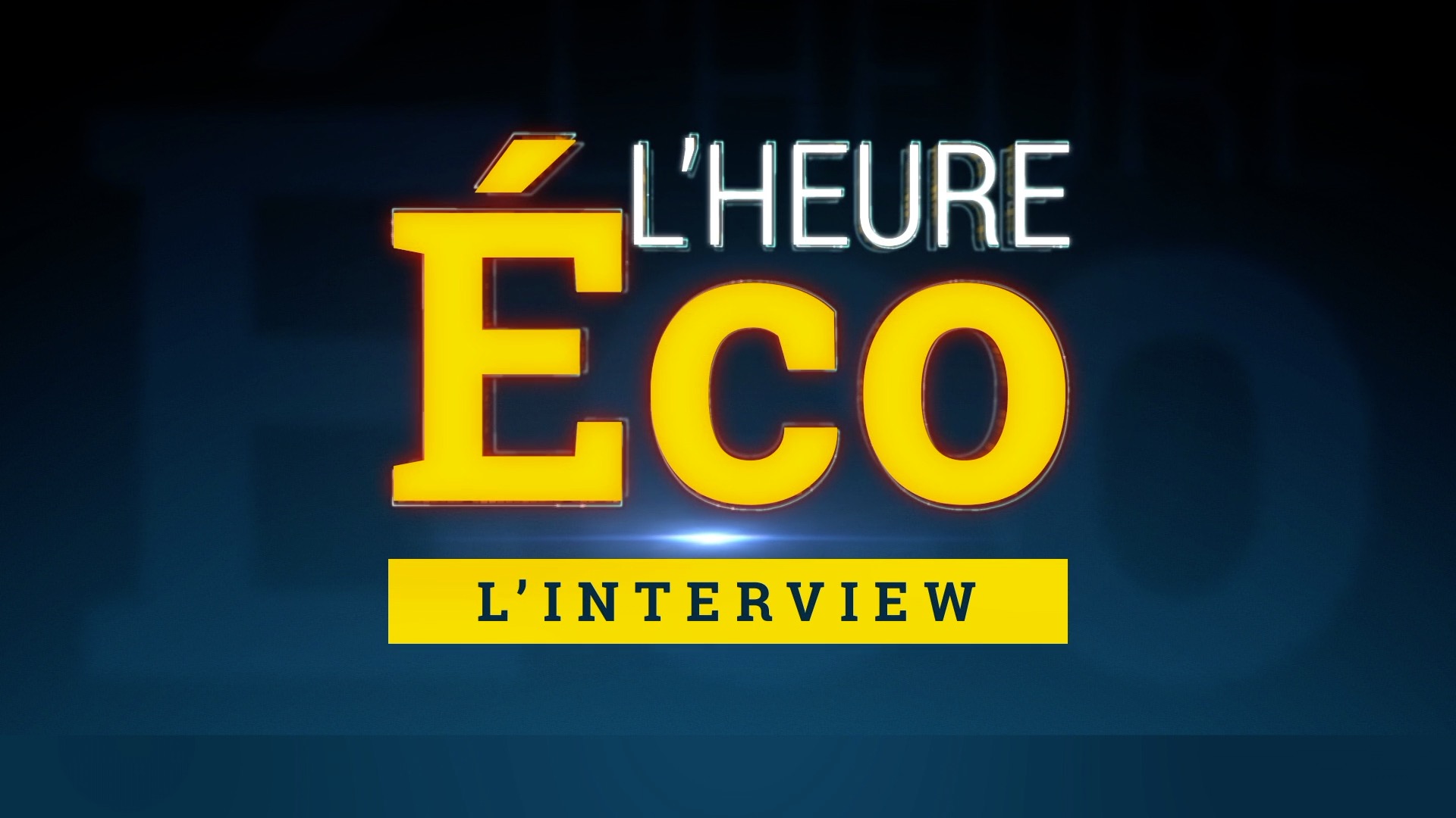 L'Heure Éco, L'Interview