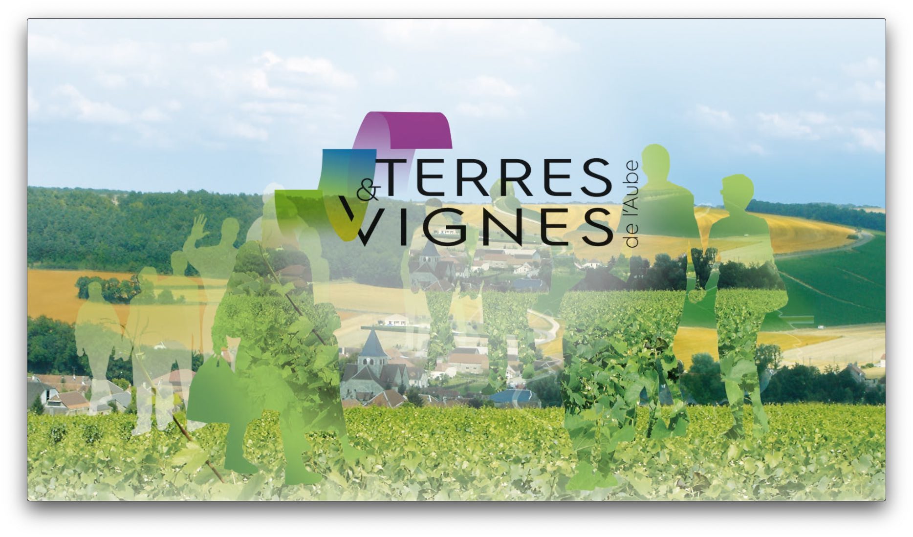 Terres et Vignes de l'Aube