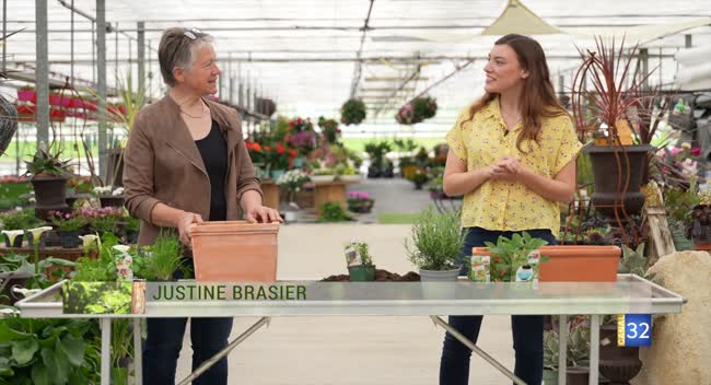 Deux femmes discutent de plantes aromatiques dans une serre à Troyes