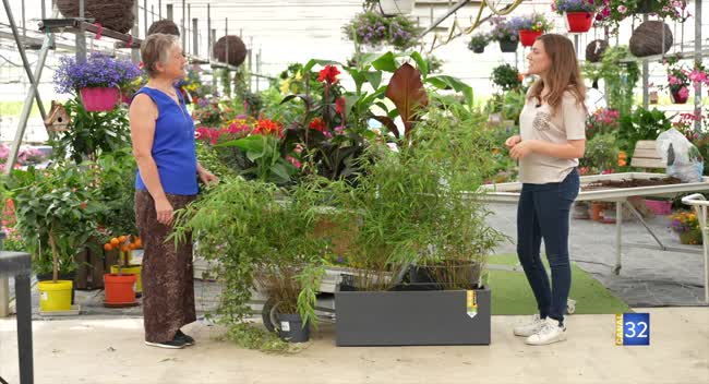 Deux femmes discutent de plantes et fleurs dans une serre avec des pots colorés suspendus