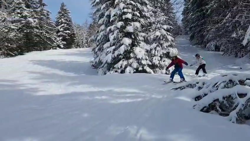 jeunes skieurs descendant les pistes enneigées de La Féclaz